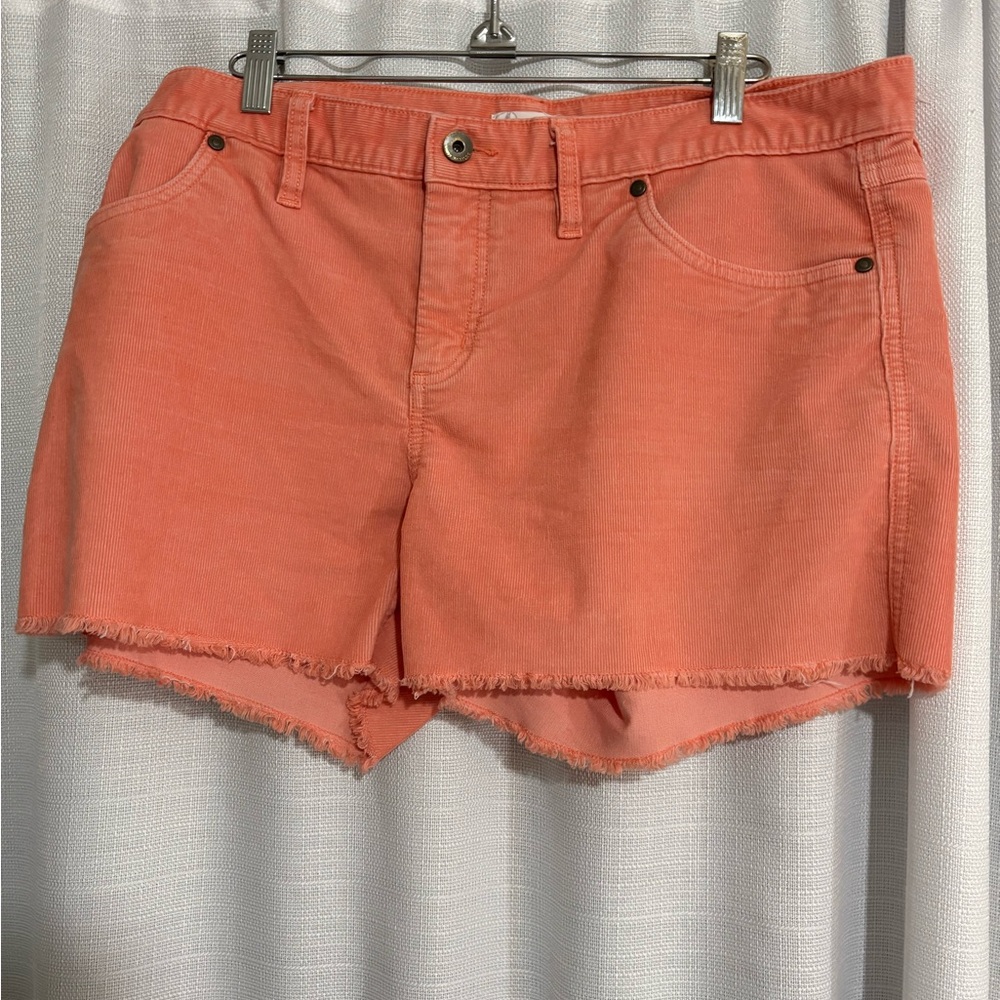 Carve Designs Oahu Shorts